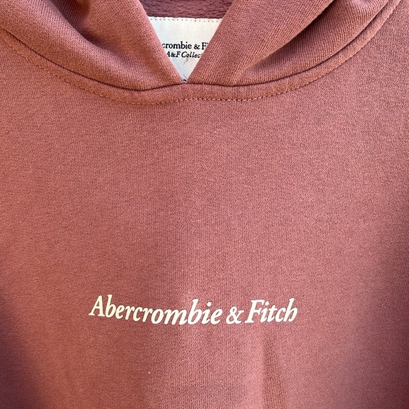 Abercrombie & Fitch Mauve Soft Fleece Oversized Cropped Logo Hoodie size XS - Picture 3 of 8